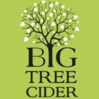 Big Tree Cider logo