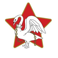 Bucks Star logo