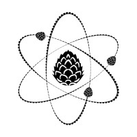 Steam Theory Brewing Company Vamonos Hermanos