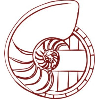 Ammonite logo