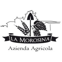 AgriBirrificio La Morosina (Ticinensis) Altromercato Red Ale