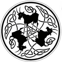 Helvii logo
