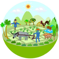 The Owambo / Some Farmer logo