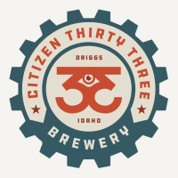 Citizen 33 Brewery Newspeak IPA