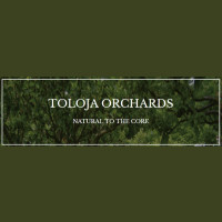 Toloja Orchards Merlin's Potion Cider