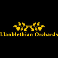Llanblethian Orchards logo