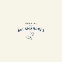Domaine des Salamandres Des Salamandres Poiré de Glace Édition Limitée