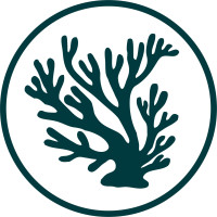 Stinky Bay Brewing Co. logo