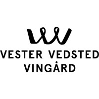 Vester Vedsted Vingaard logo