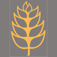 Flatland Brewing Year 10
