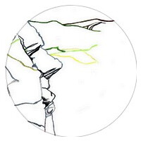 Seidir Tydecho logo