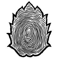 Local Relic Artisan Ales Blueberry Unbeliever