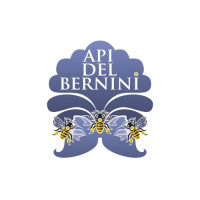 Api Del Bernini logo