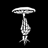 Deadfall Brewing Succession New England IPA