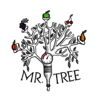 Mr. Tree Ripe Melon
