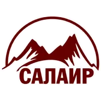 Salair-M (Салаир-М) logo