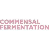 Commensal Fermentation Articum