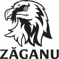 Fabrica de Bere Bună / Zăganu logo