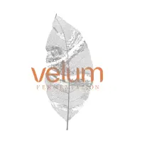 Velum Fermentation logo