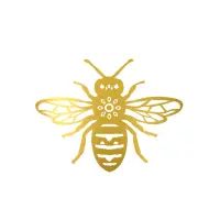 Cape Town Meadery logo