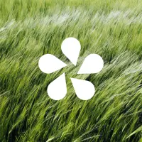 Flora Craft Beer logo