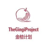 The Gingi Project It's A Magic Wishing Apple