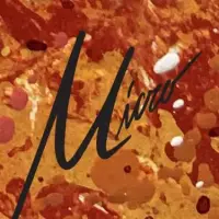 Micro logo