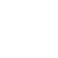 Blarney Brewing Company logo