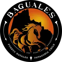 Cerveza Baguales Brown Ale