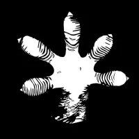 Gekko Brewing Company logo