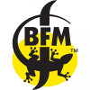 BFM (Brasserie des Franches-Montagnes) Le Brut de Bon-Chien
