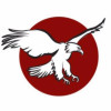 Lone Eagle Brewing logo