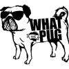 What the PUG logo