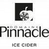 Domaine Pinnacle logo