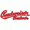 Budějovický Budvar (Budweiser) 33 Nefiltr