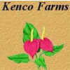 Kenco Farms Cyster