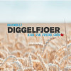 Brouwerij Diggelfjoer logo