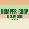 Bumper Crop Cider logo