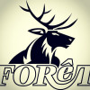 Brasserie Forêt logo