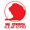 BGI Ethiopia (Kombolcha Brewery) logo
