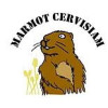 Marmot Cervisiam logo