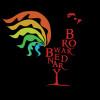 Browar Bednary logo