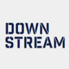 Downstream (Ireland Craft Beverages) logo
