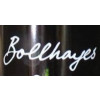 Bollhayes Cider logo