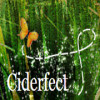 Ciderfect logo