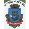 Bere Mures logo