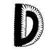 Duration Brewing logo