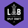 LAB Split logo