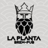 La Planta Brew Pub Cream Ale