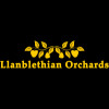 Llanblethian Orchards Keeved